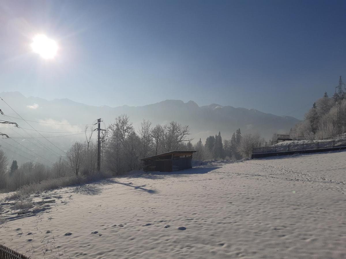 Willa Balamutka Zakopane Bagian luar foto